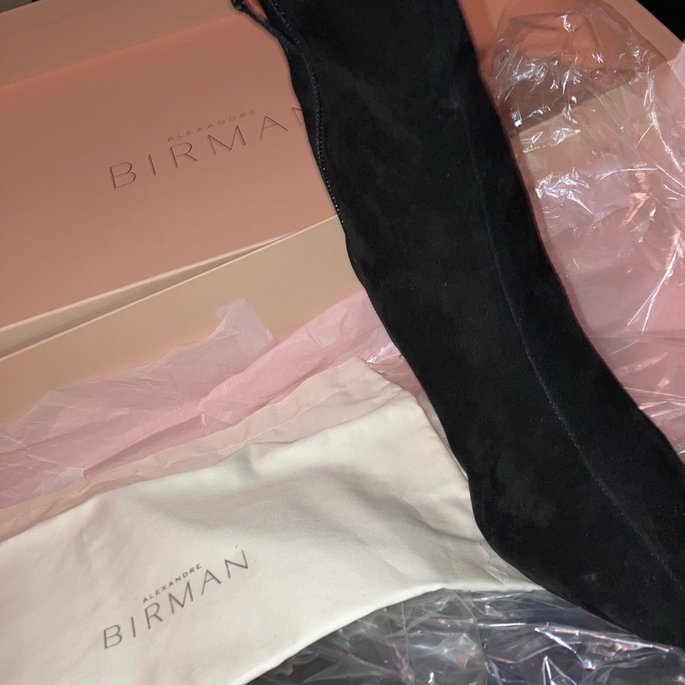 Alexandre Birman Kyra 85 Suede Boots